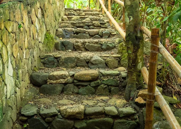 Treehouse De Valentine Balamban