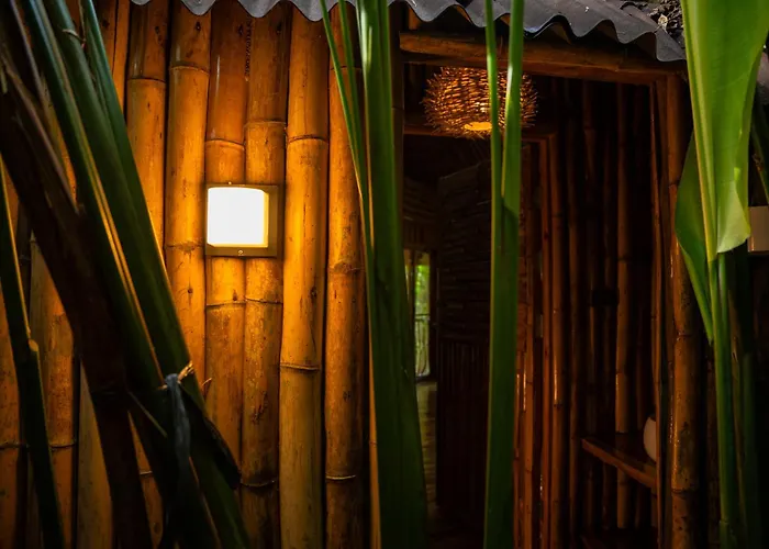 Lodge Treehouse De Valentine *