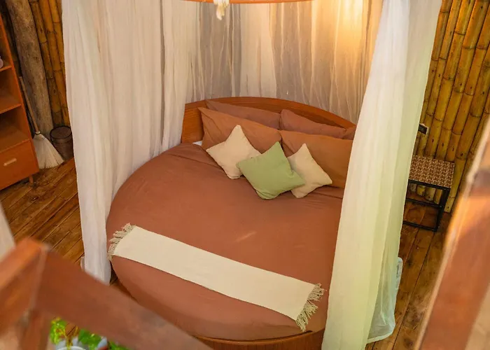Lodge Treehouse De Valentine