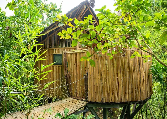 Treehouse De Valentine
