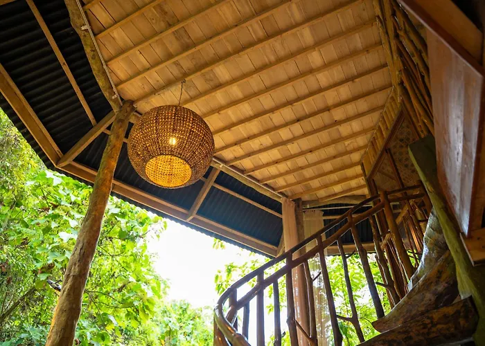 Treehouse De Valentine Lodge
