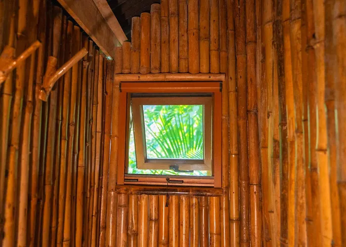 Treehouse De Valentine