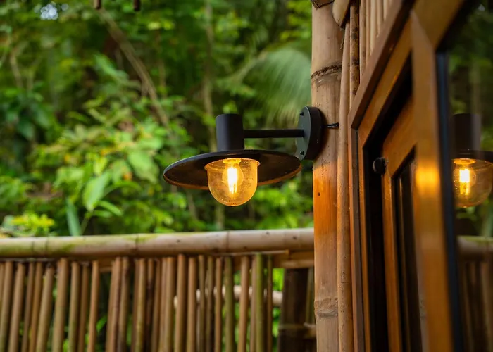 Lodge Treehouse De Valentine *