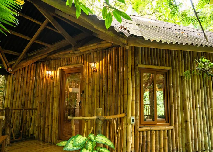Lodge Treehouse De Valentine