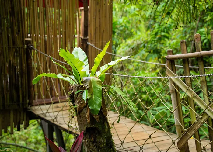 Lodge Treehouse De Valentine