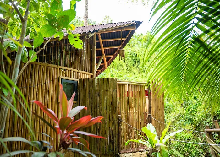 Treehouse De Valentine