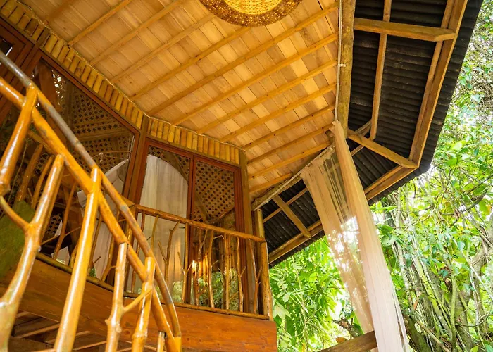 Treehouse De Valentine *