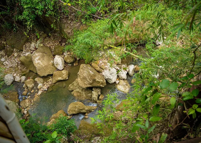 Treehouse De Valentine Balamban